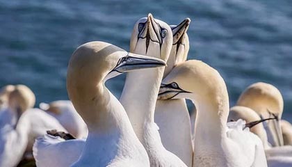 济宁伴游，定制QQ：3494206190微信：act1322